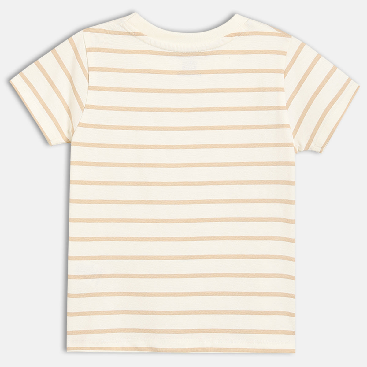 Baby Boys Striped T-Shirt With Solid Dungaree Set, Green And White