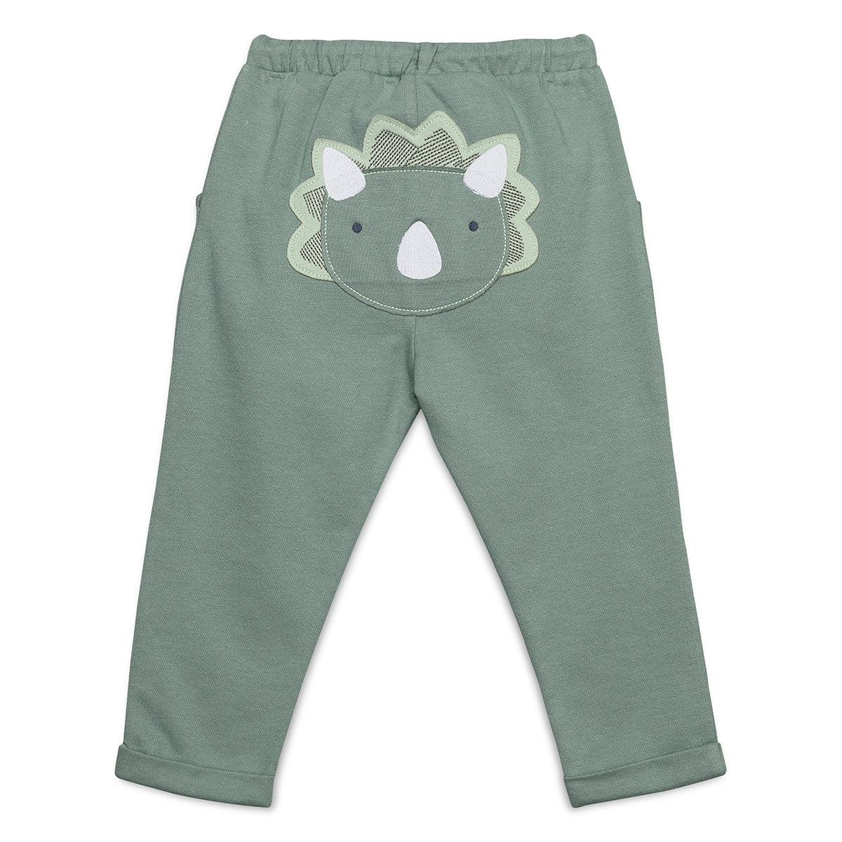 Baby Boys Knit Bottom with Dinosaur Applique, Green