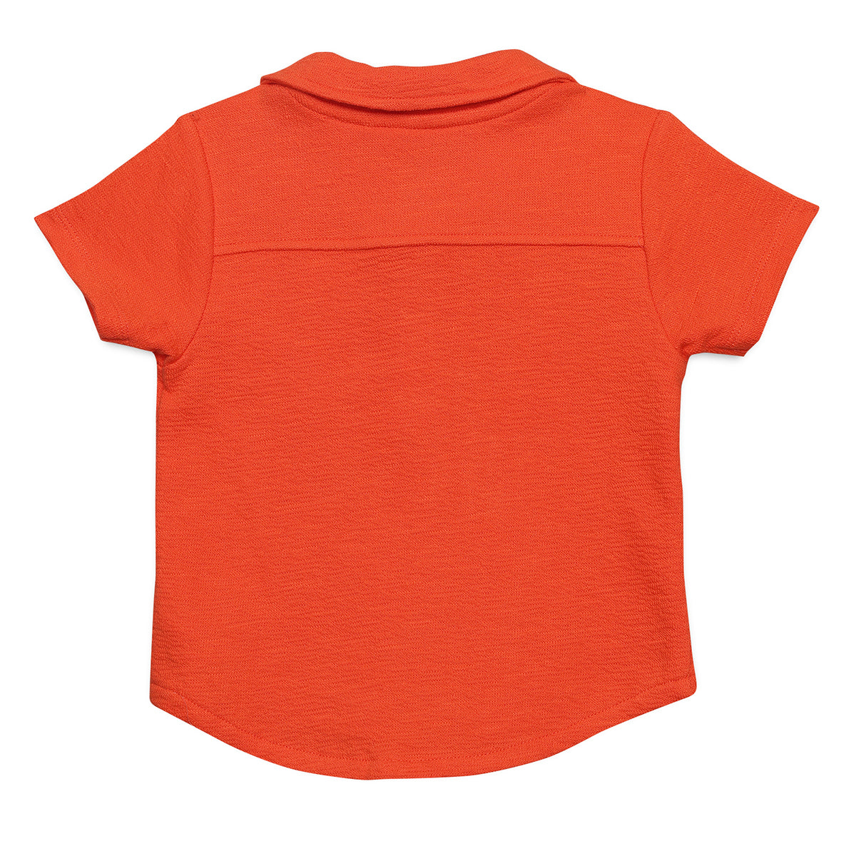 Baby Boys Solid Polo T-Shirt with Chest Embroidery, Orange