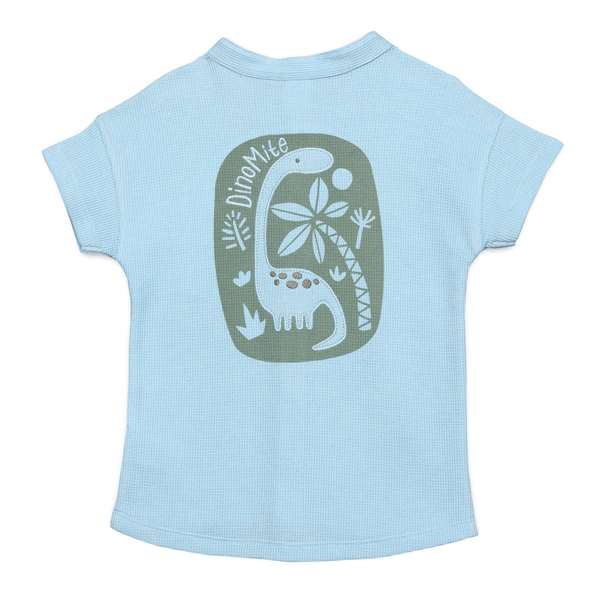 Baby Boys Dinosaur Print Waffle Knit Shirt, Blue