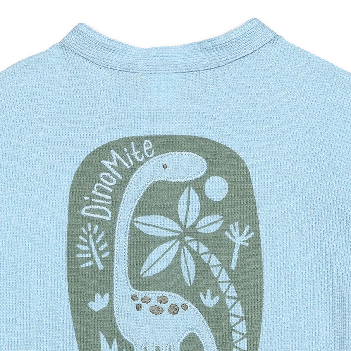 Baby Boys Dinosaur Print Waffle Knit Shirt, Blue