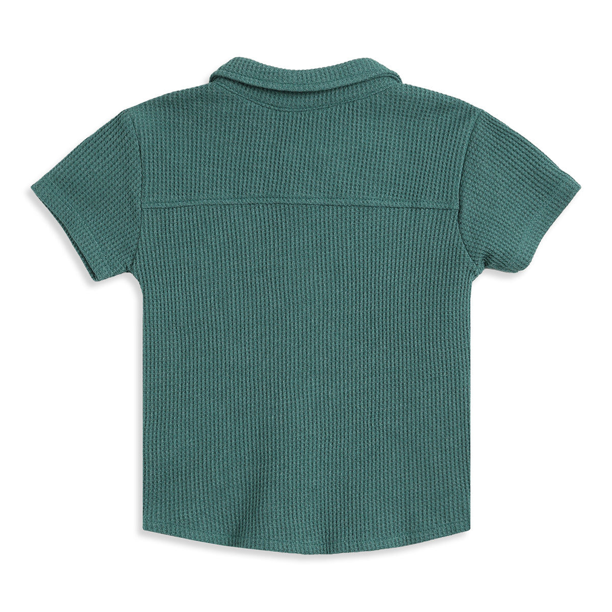 Baby Boys Green Textured Half Sleeves Casual Shirt