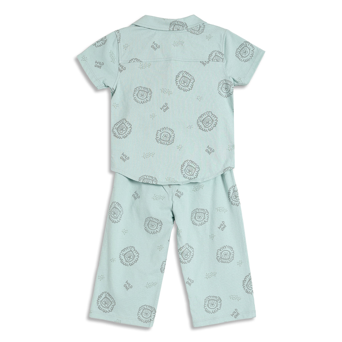 Baby Boys Lion Print Shirt and Pants Set, Mint Green