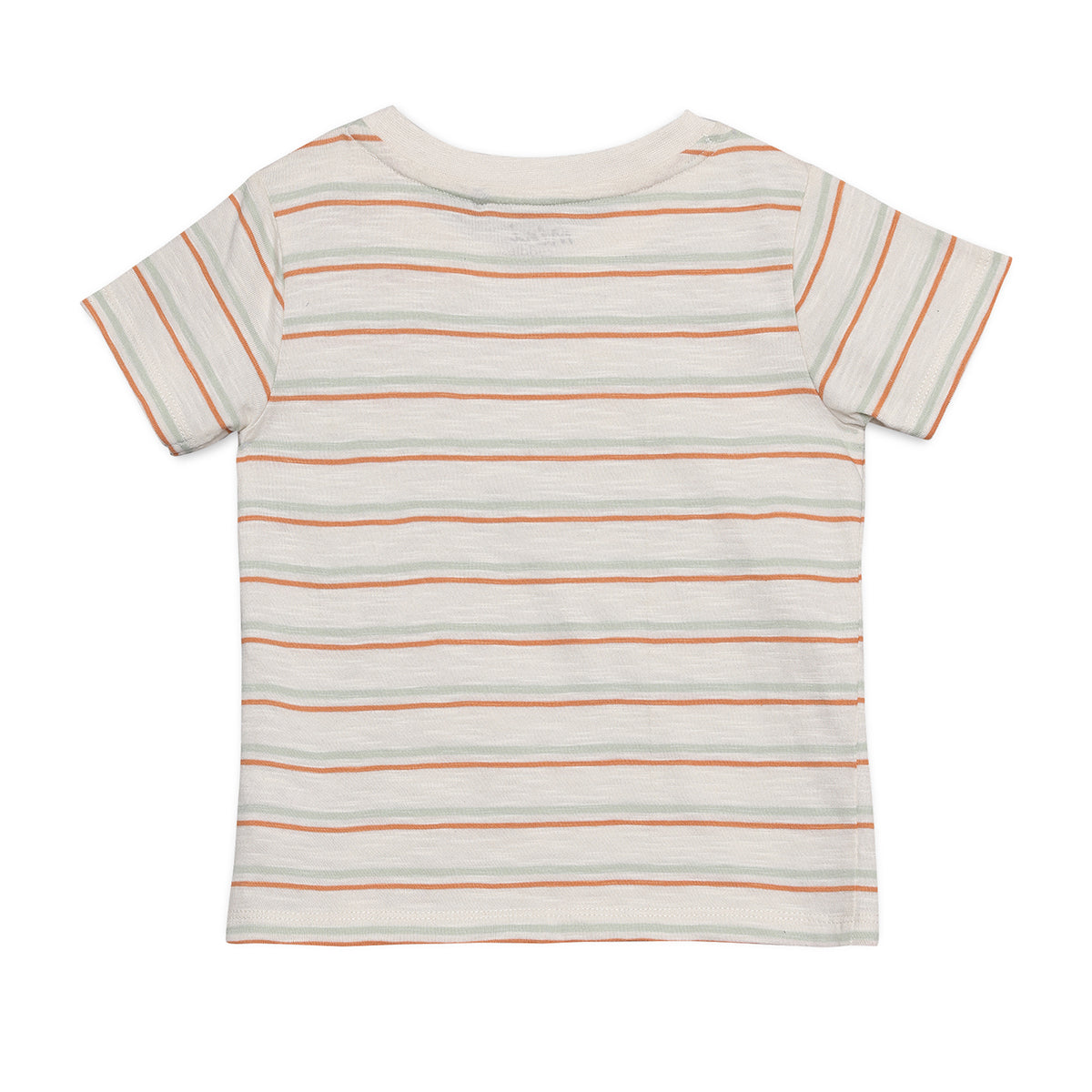Baby Boys Striped “Explore More” Top and Shorts Set, Multicolour