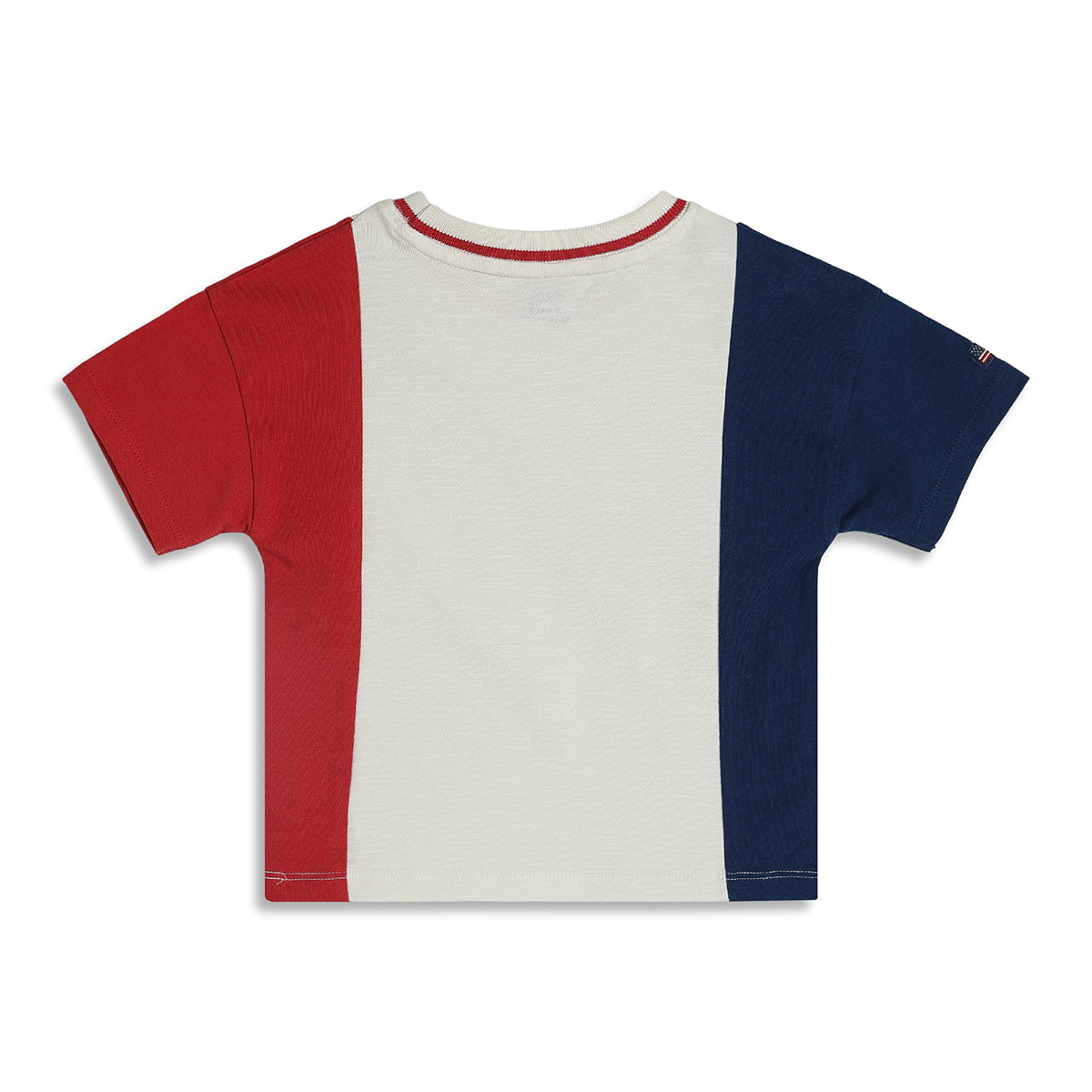 Baby Boys Colourblocked T-Shirt and Solid Shorts Set, Red, White and Navy Blue