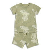 Baby Boys Leaf Print T-Shirt and Shorts Set, Pack of 1, Sage Green