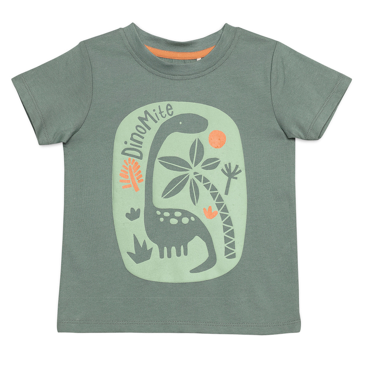 Baby Boys Dinosaur Print T-Shirt Set Pack of 3, Multicolor