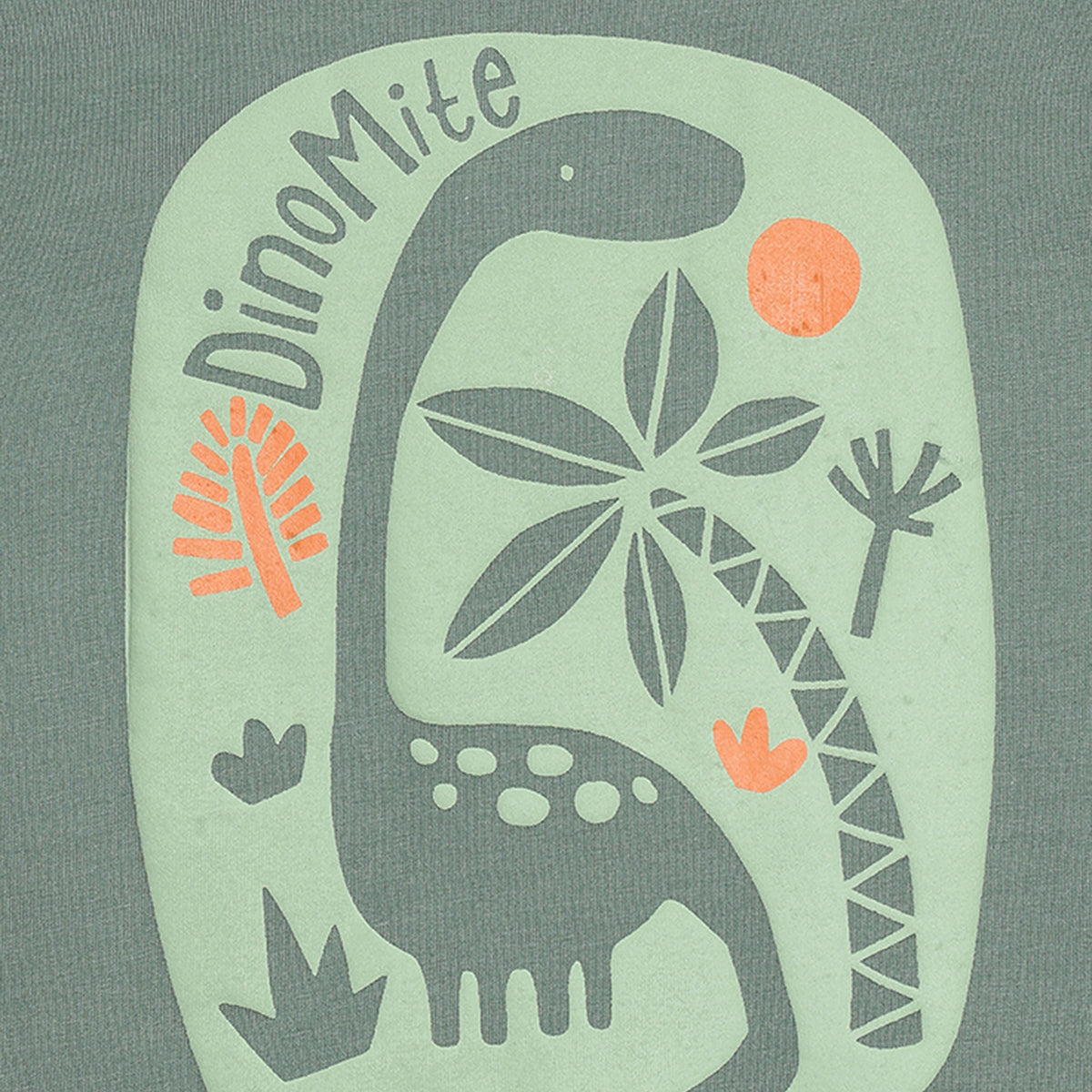 Baby Boys Dinosaur Print T-Shirt Set Pack of 3, Multicolor