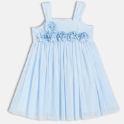 Baby Girls Floral Applique Party Dress, Blue