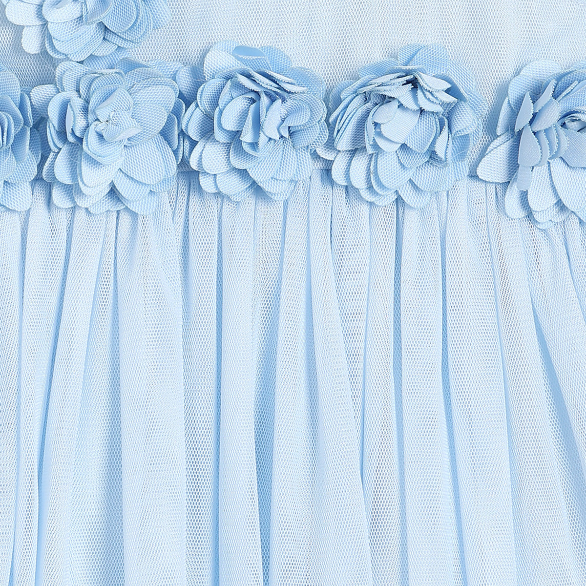 Baby Girls Floral Applique Party Dress, Blue