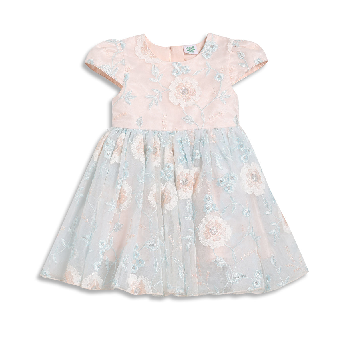 Baby Girls Floral Embroidered Party Dress, Peach and Light Blue