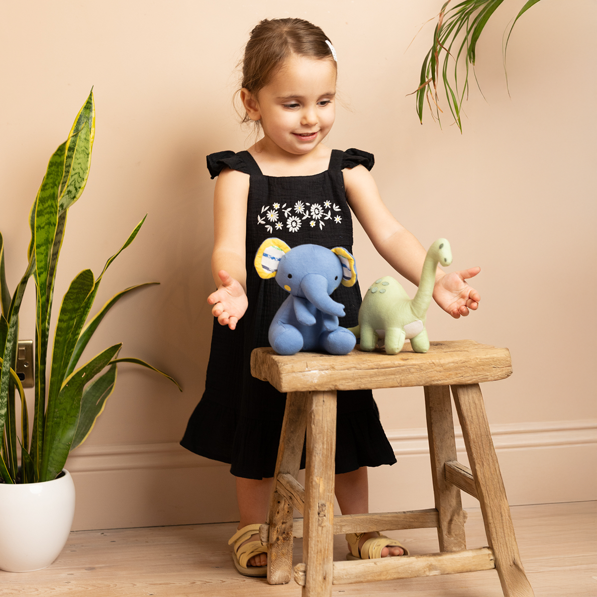 Baby Girls Embroidered Tiered Dress, Black