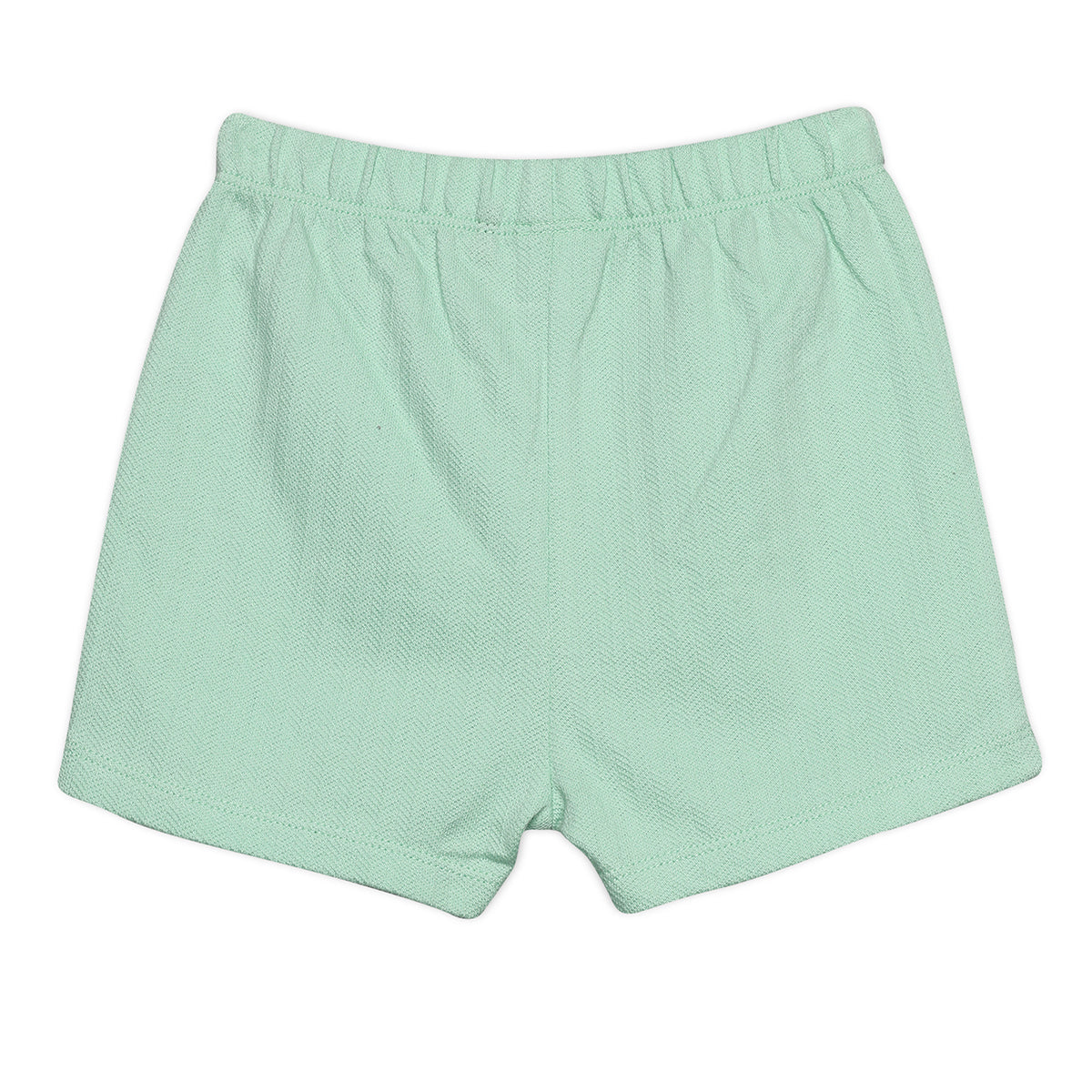 Baby Girls Daisy Embroidered Shirt and Shorts Coordinate Set, Mint Green