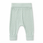 Baby Boys Mint Green and White Cotton Striped Pants Regular Fit Casual Wear