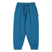 Baby Boys Teal Blue Cotton Solid Joggers Regular Fit Casual Wear