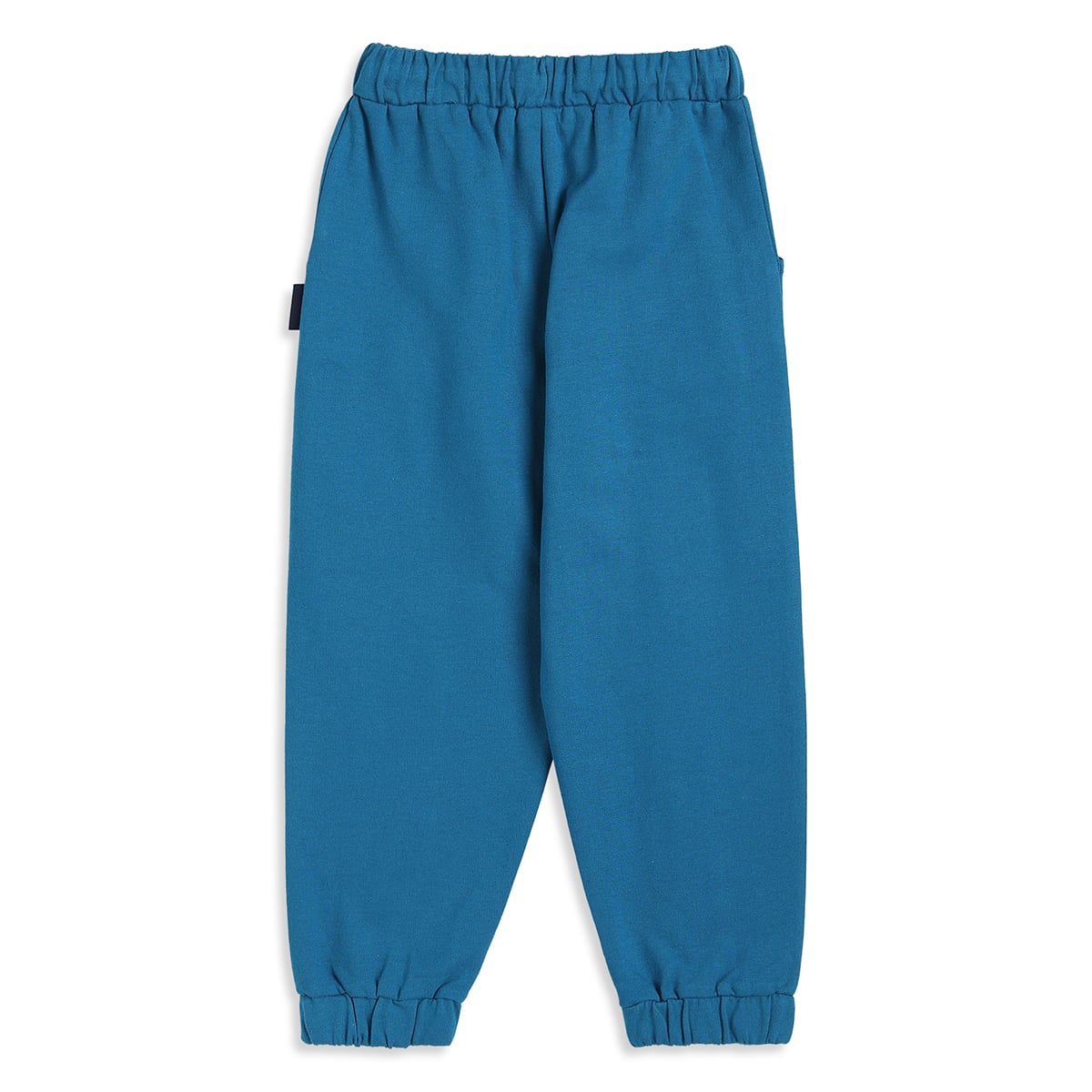 Baby Boys Teal Blue Cotton Solid Joggers Regular Fit Casual Wear