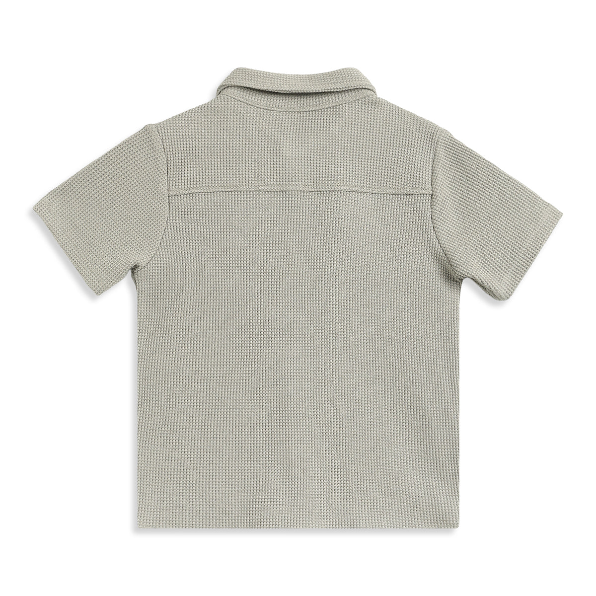 Boys Sage Green Textured Typographic Cotton Shirt Regular Fit Casual Kids Shirt