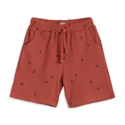 Baby Boys Rust Red Cotton Acorn Print Textured Shorts Regular Fit Casual Wear