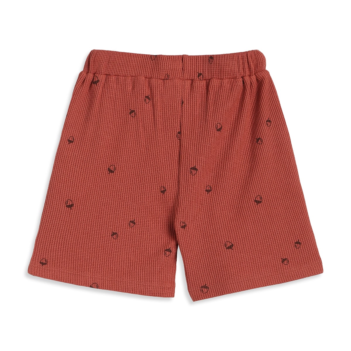 Baby Boys Rust Red Cotton Acorn Print Textured Shorts Regular Fit Casual Wear