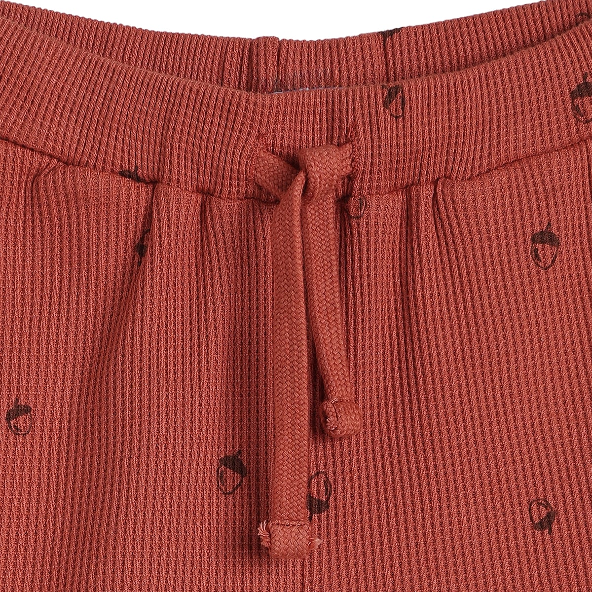 Baby Boys Rust Red Cotton Acorn Print Textured Shorts Regular Fit Casual Wear