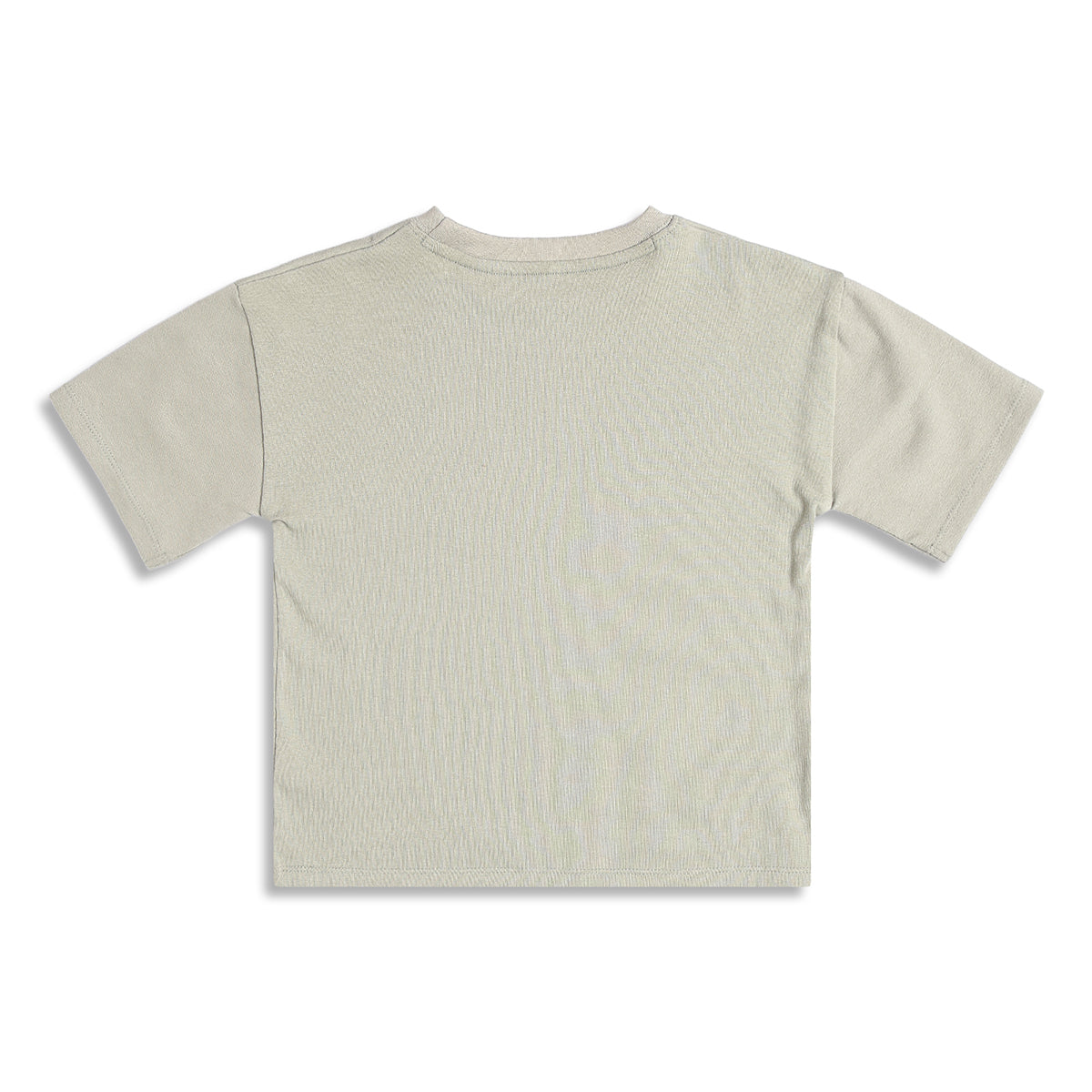 Boys Half Sleeves Graphic Print T-Shirt, Light Sage Green