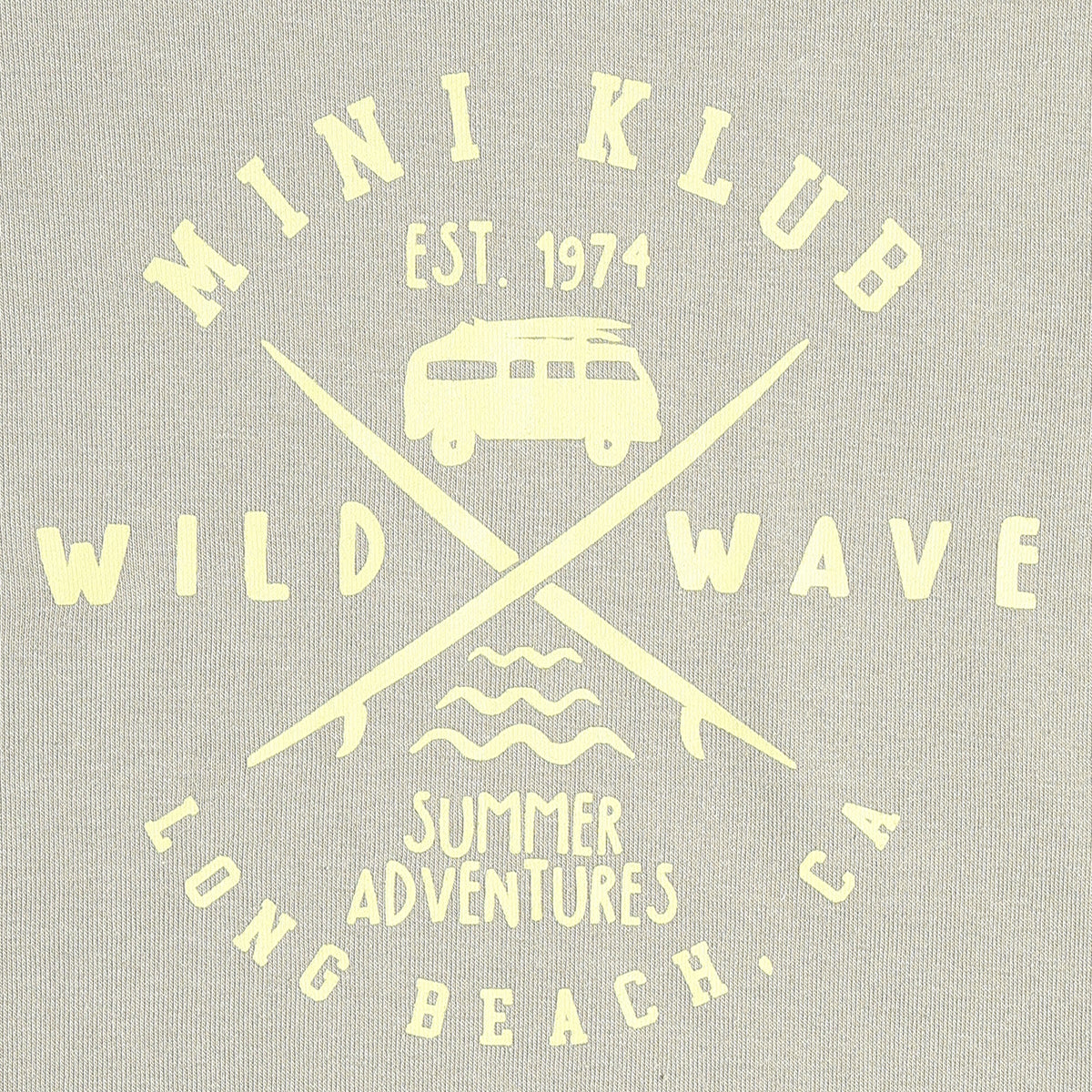 Boys Half Sleeves Graphic Print T-Shirt, Light Sage Green