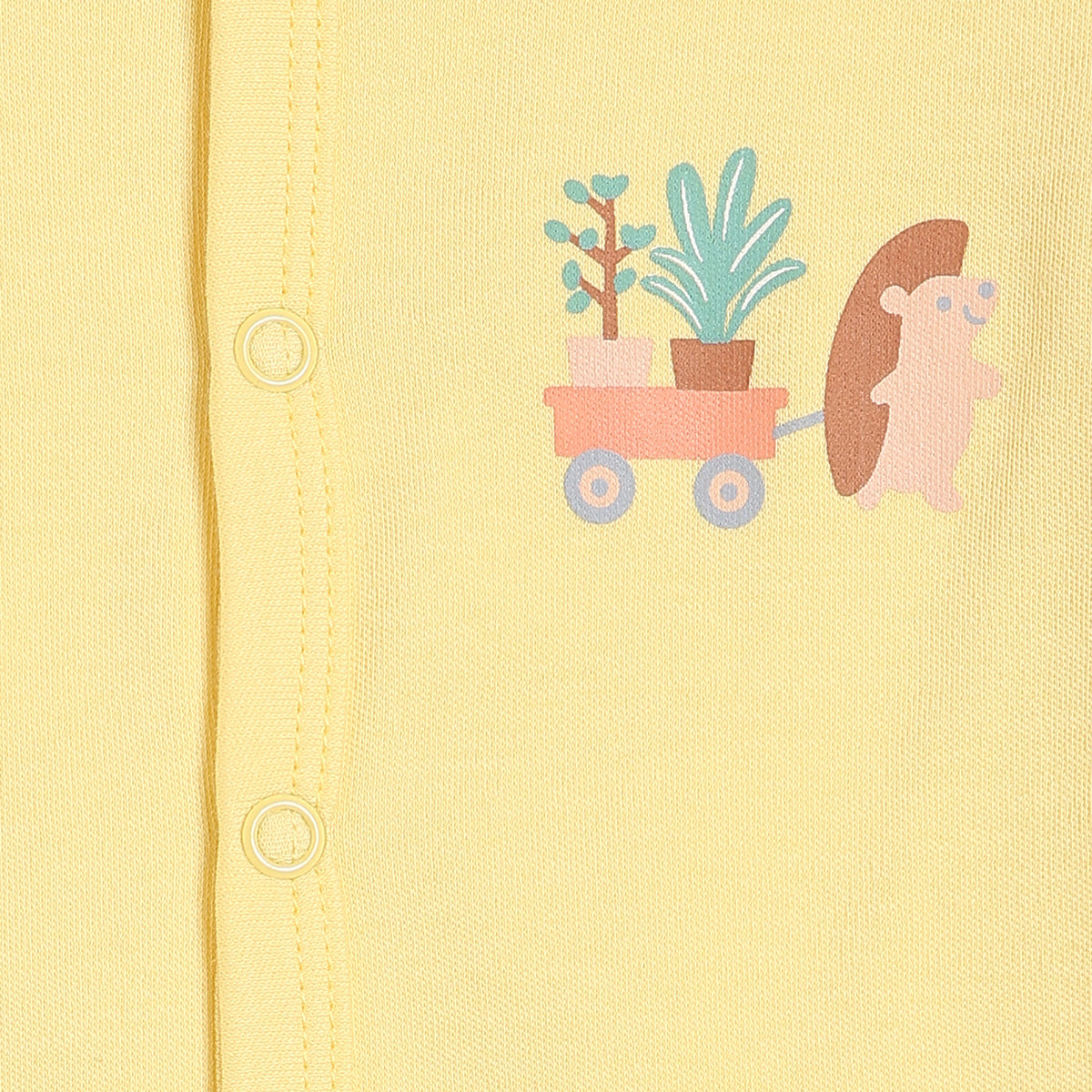 Baby Boys Printed and Solid Front Open Vests Pack of 2, Yellow and Sage Green