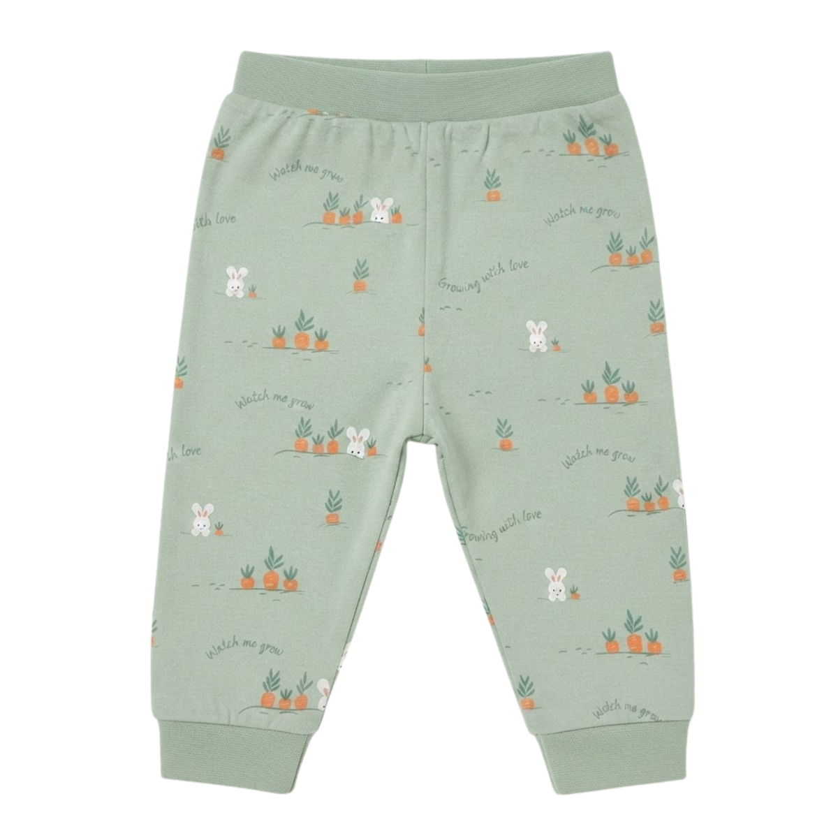Baby Boys Sage Green Cotton Bunny Print Joggers Regular Fit Casual Wear