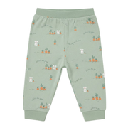 Baby Boys Sage Green Cotton Bunny Print Joggers Regular Fit Casual Wear
