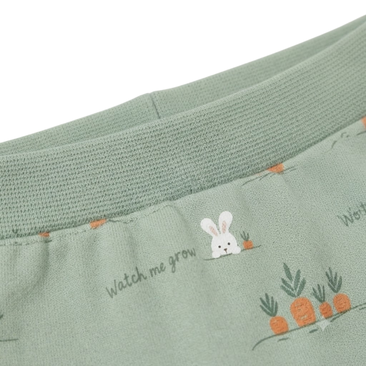 Baby Boys Sage Green Cotton Bunny Print Joggers Regular Fit Casual Wear