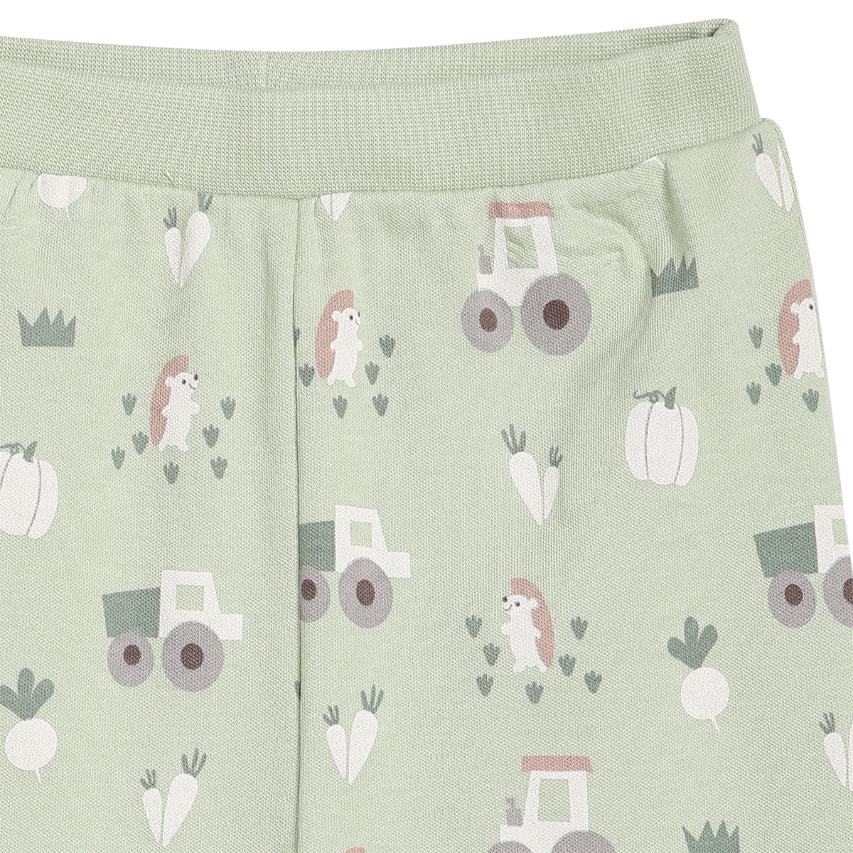 Baby Boys Printed and Solid Bottomwear Pack of 2, Light Green and Yellow