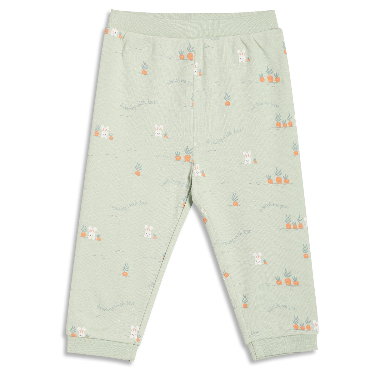 Baby Boys Bunny Print and Solid Knit Pants Pack of 2, Mint Green and Peach