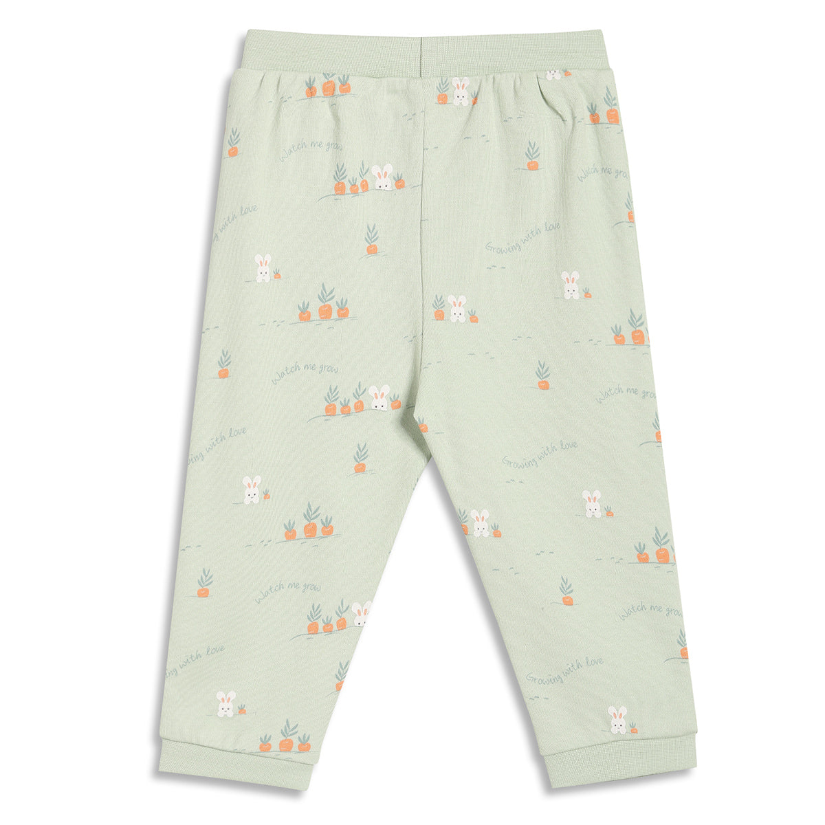 Baby Boys Bunny Print and Solid Knit Pants Pack of 2, Mint Green and Peach