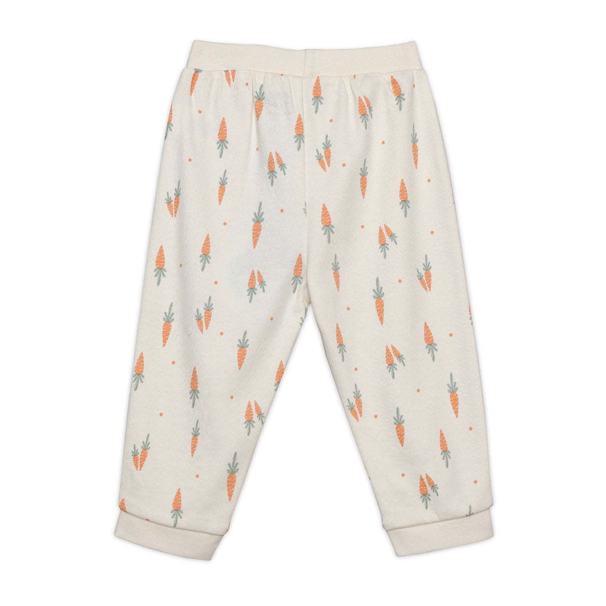 Baby Boys Solid And Carrot Printed Knit Bottoms Pack Of 2 , Multicolor
