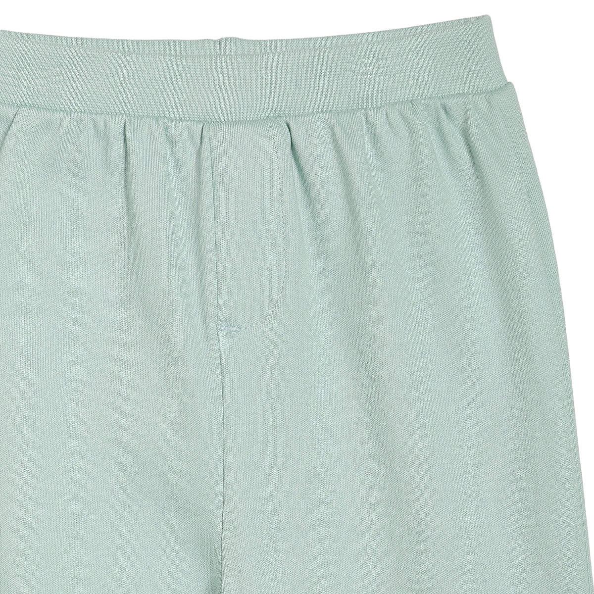 Baby Boys Printed Knit Bottoms Pack of 2, Yellow and Mint Green