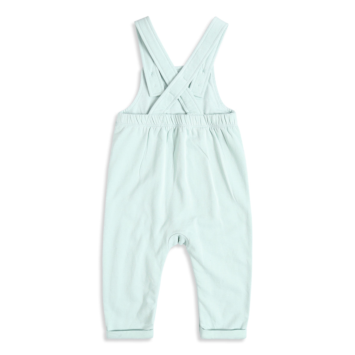 Baby Boys Mint Green and Cream Animal Printed T-Shirt and Dungaree Set Regular Fit Casual Wear