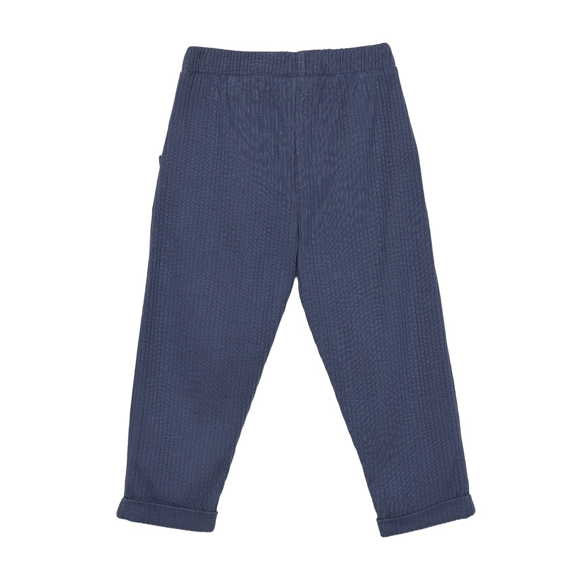 Baby Boys Navy Blue Cotton Blend Bird Badge Ribbed Knit Bottom Regular Fit Casual Wear