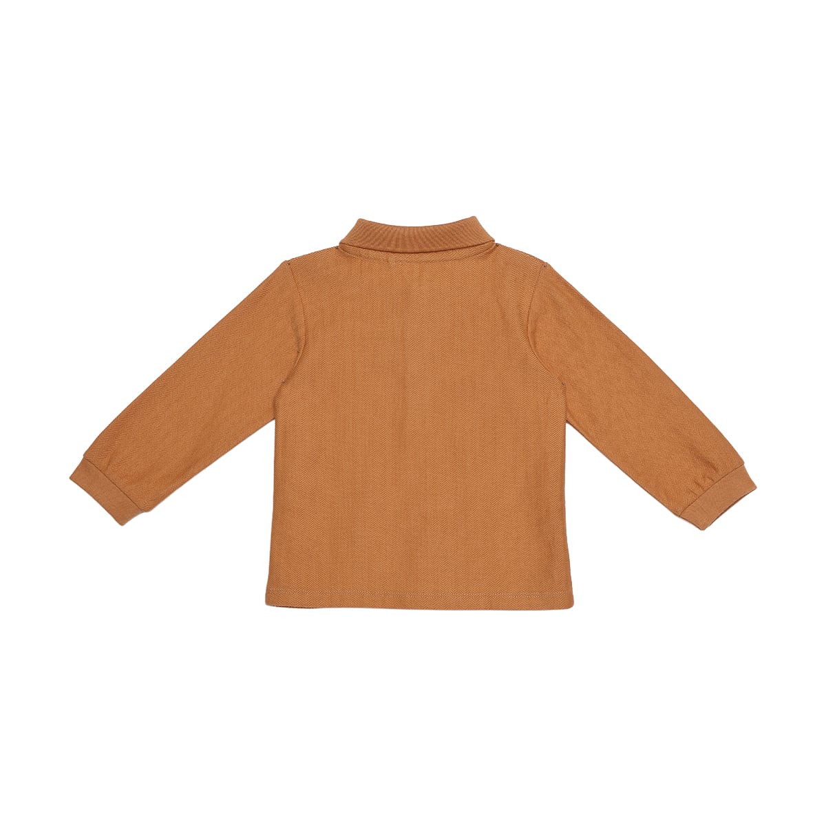 Baby Boys Rust Brown Cotton Blend Bear Embroidered Textured Full Sleeve Polo T-Shirt Regular Fit Casual Wear