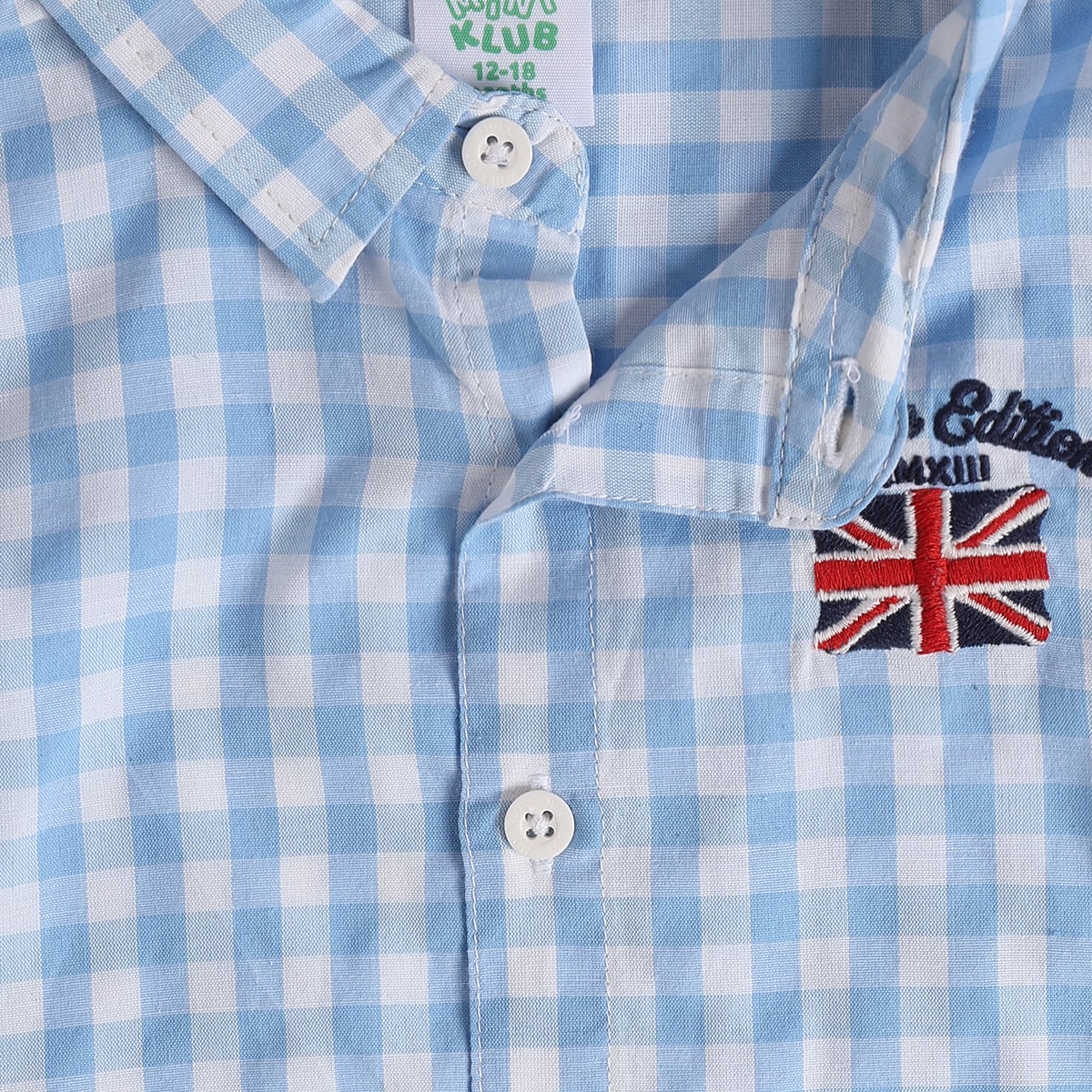 Baby Boys Blue Cotton Checked Shirt Regular Fit Casual Wear