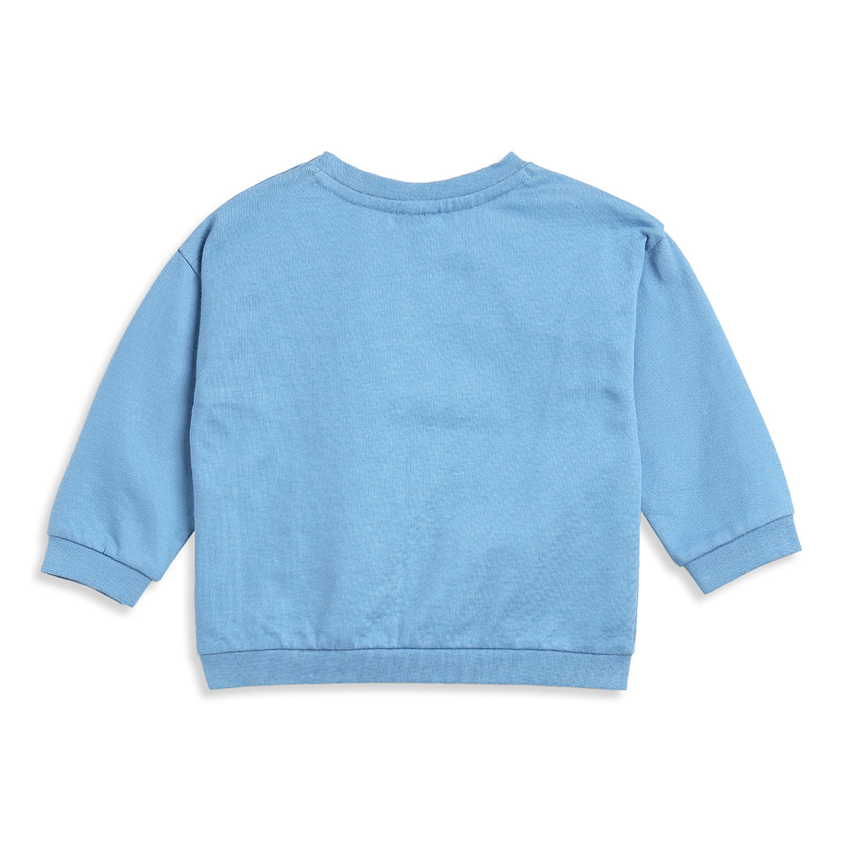 Baby Boys Light Blue Cotton Embroidered Sweatshirt Regular Fit Casual Wear