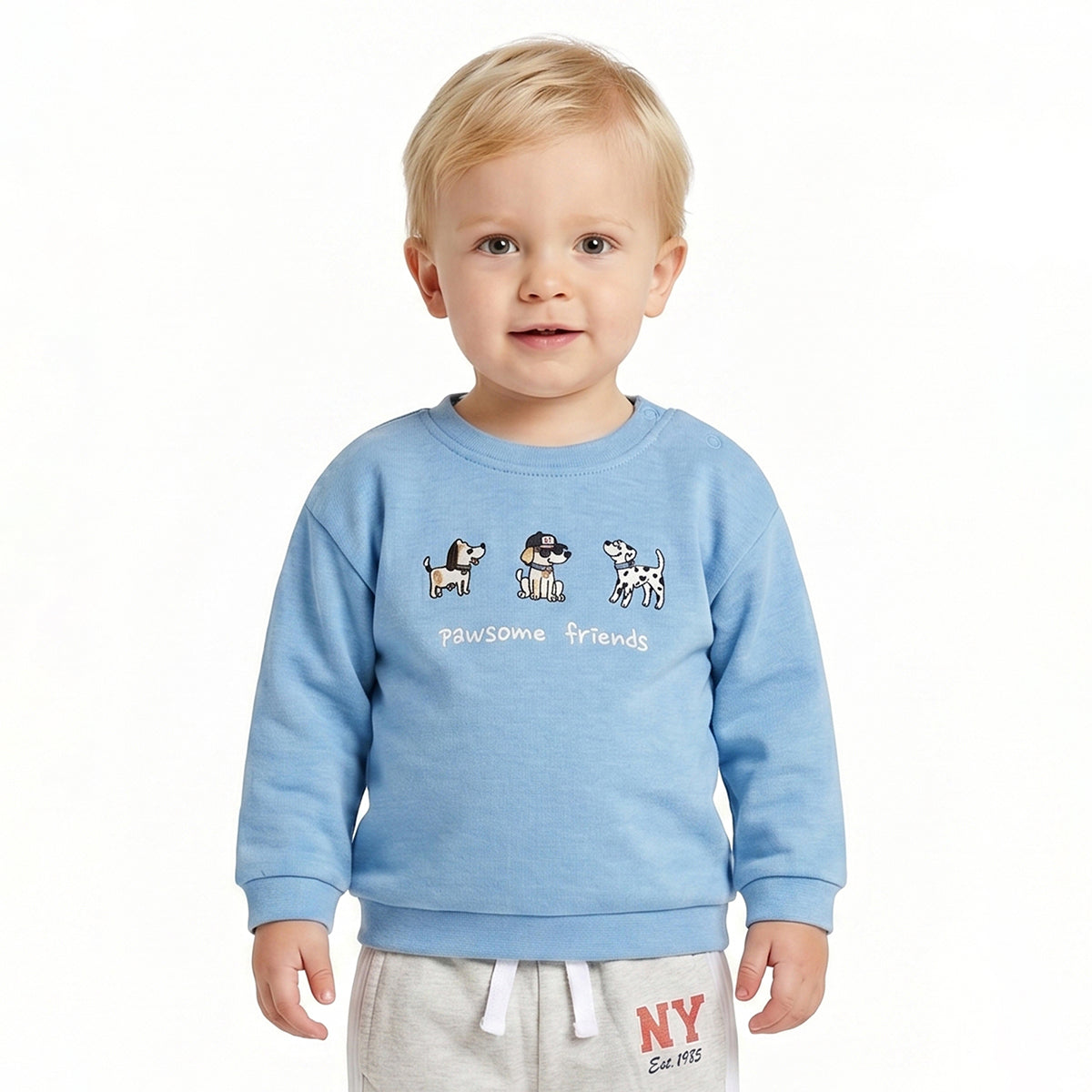 Baby Boys Light Blue Cotton Embroidered Sweatshirt Regular Fit Casual Wear