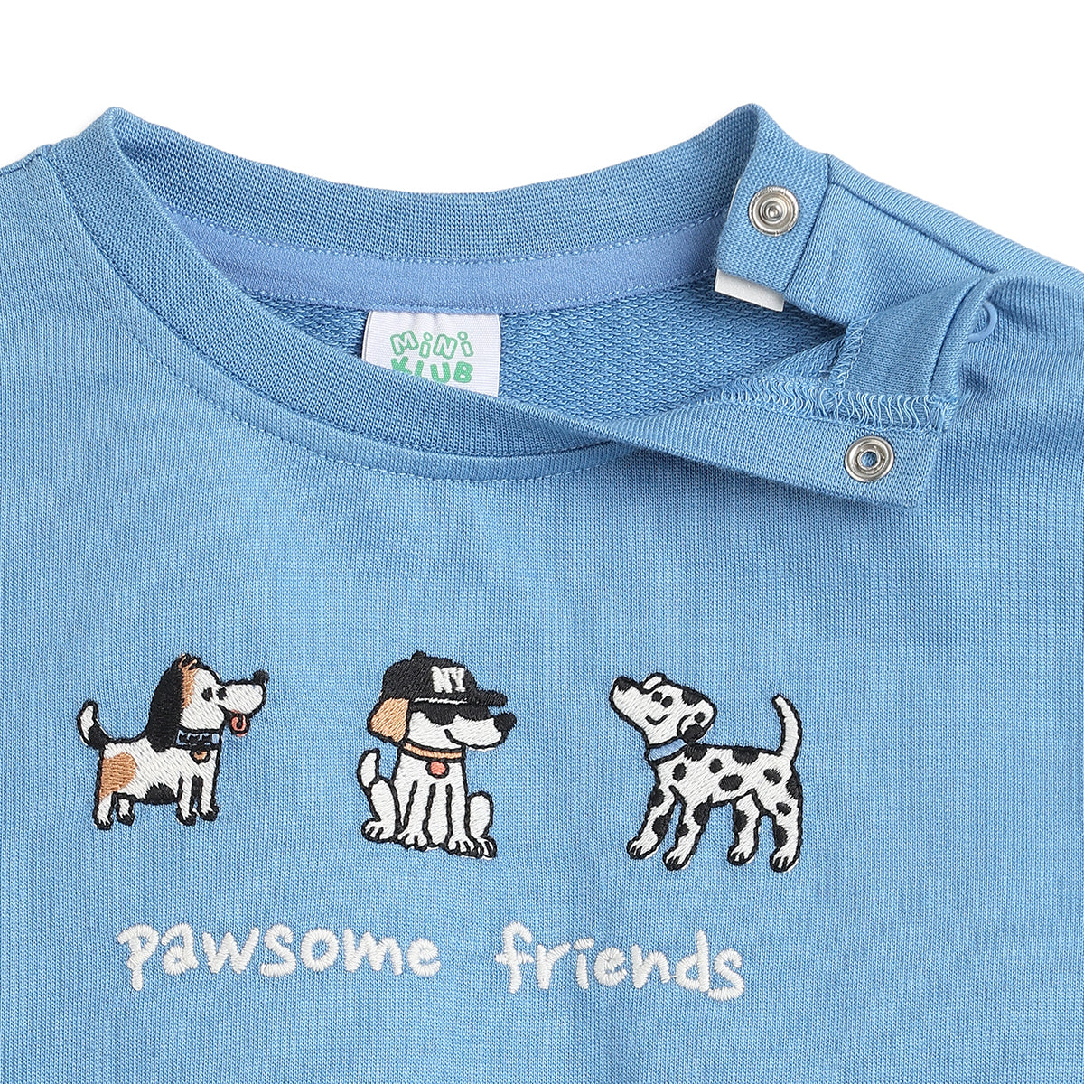Baby Boys Light Blue Cotton Embroidered Sweatshirt Regular Fit Casual Wear