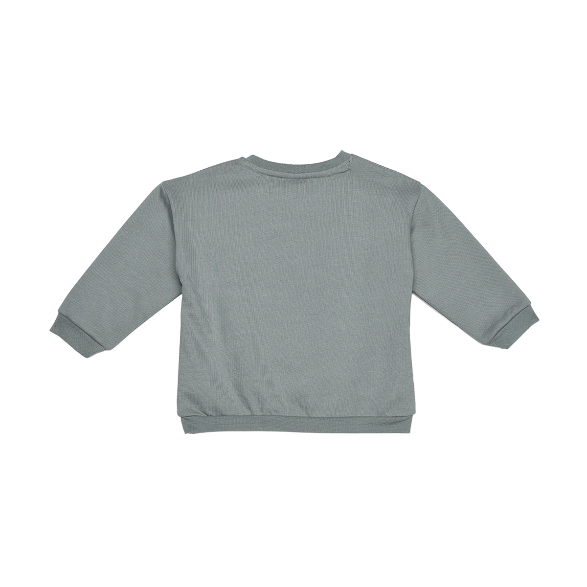 Baby Boys Grey Cotton Sweatshirt Regular Fit Casual Wear