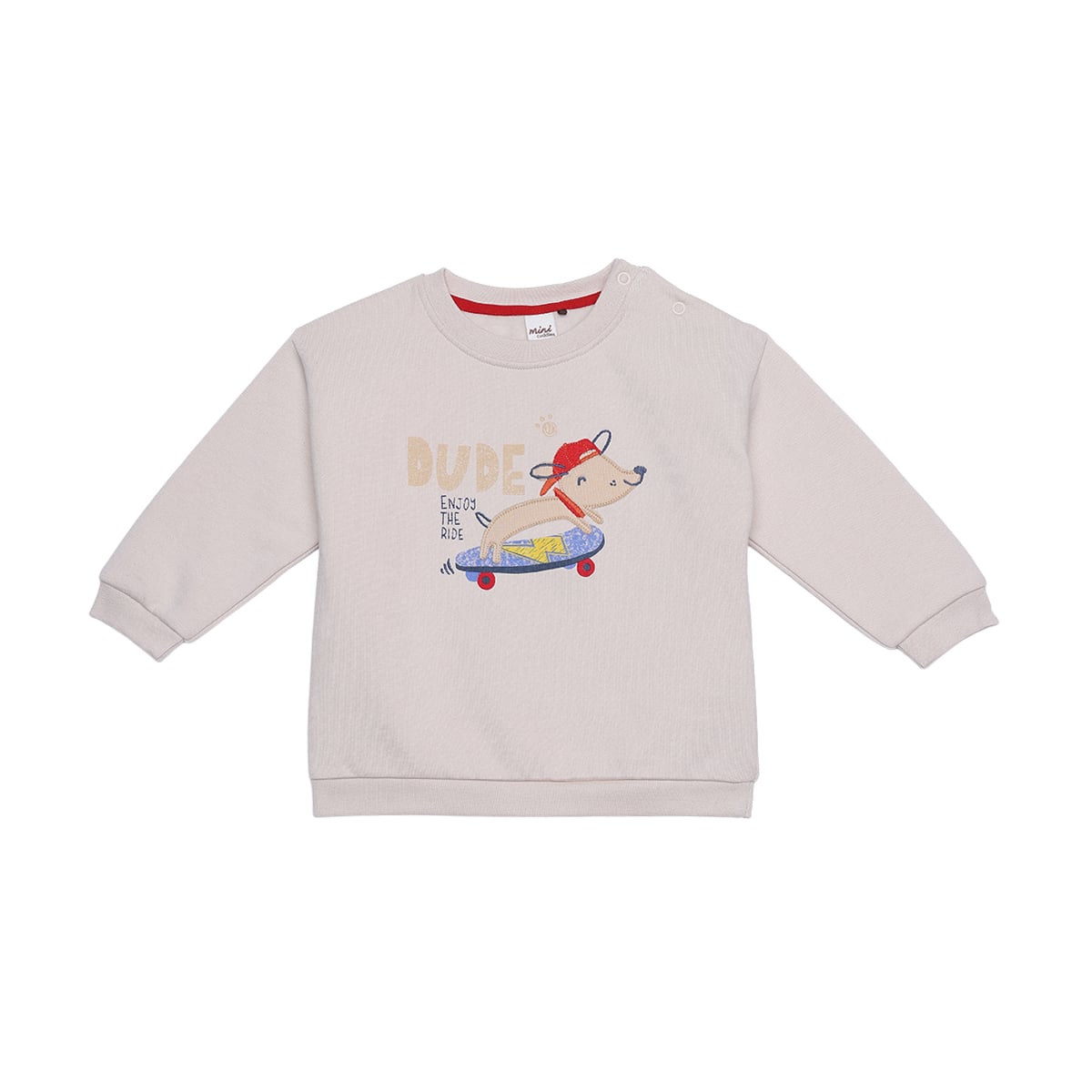 Baby Boys Beige Cotton Blend Dog Applique And Graphic Printed Full Sleeve Sweatshirt Regular Fit Casual Wear