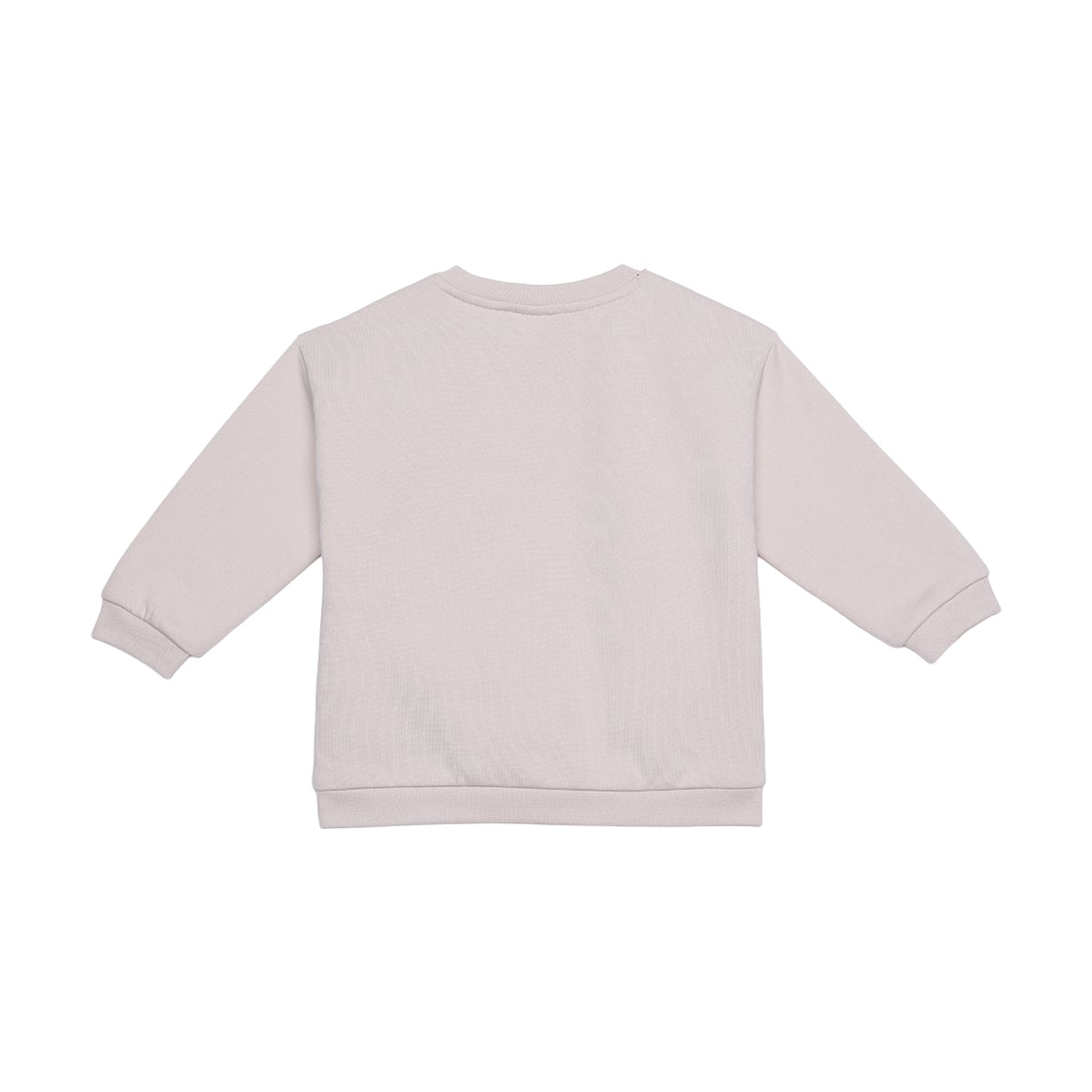 Baby Boys Beige Cotton Blend Dog Applique And Graphic Printed Full Sleeve Sweatshirt Regular Fit Casual Wear