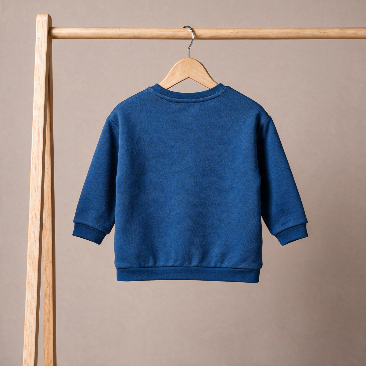 Baby Boys Blue Cotton Blend Dog Embroidered Full Sleeve Sweatshirt Regular Fit Casual Wear