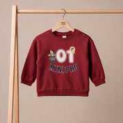 Baby Boys Maroon Cotton Graphic Printed And Embroidered Sweatshirt Regular Fit Casual Wear