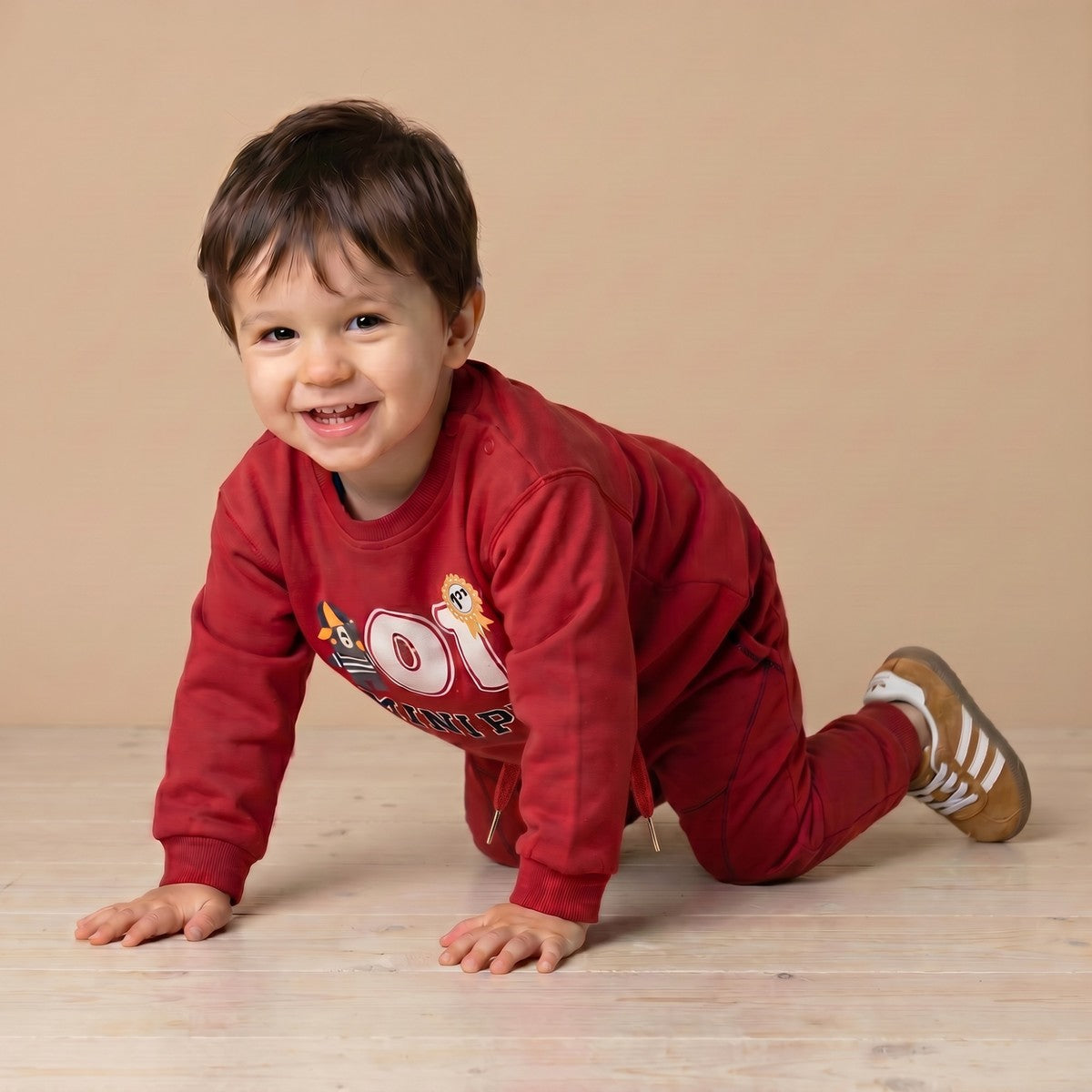 Baby Boys Maroon Cotton Graphic Printed And Embroidered Sweatshirt Regular Fit Casual Wear