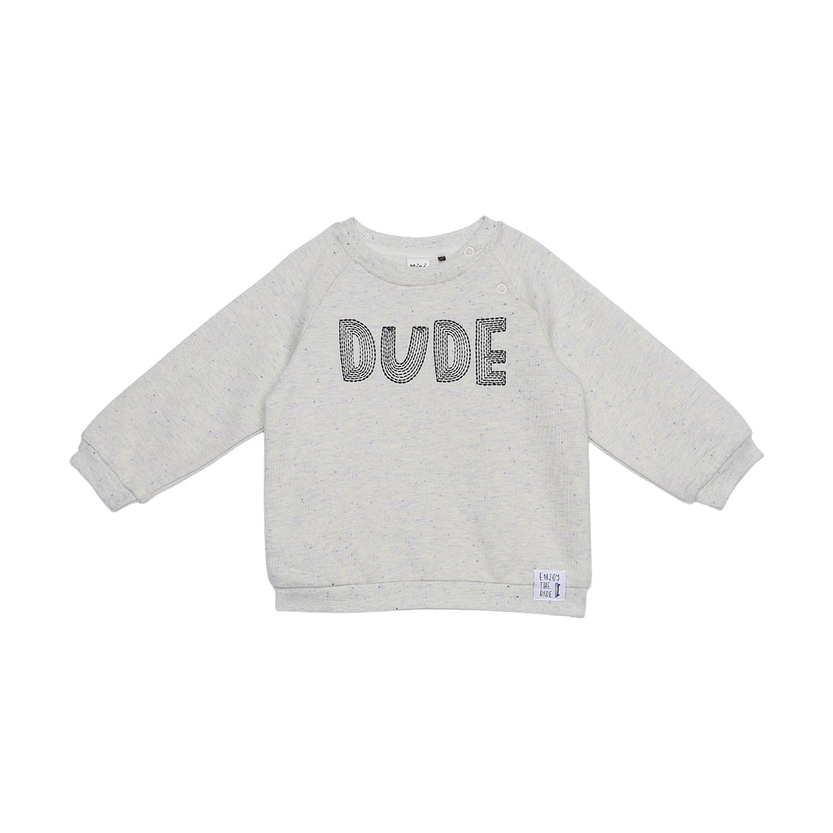 Baby Boys Light Grey Cotton Blend Dude Embroidered Full Sleeve Sweatshirt Regular Fit Casual Wear