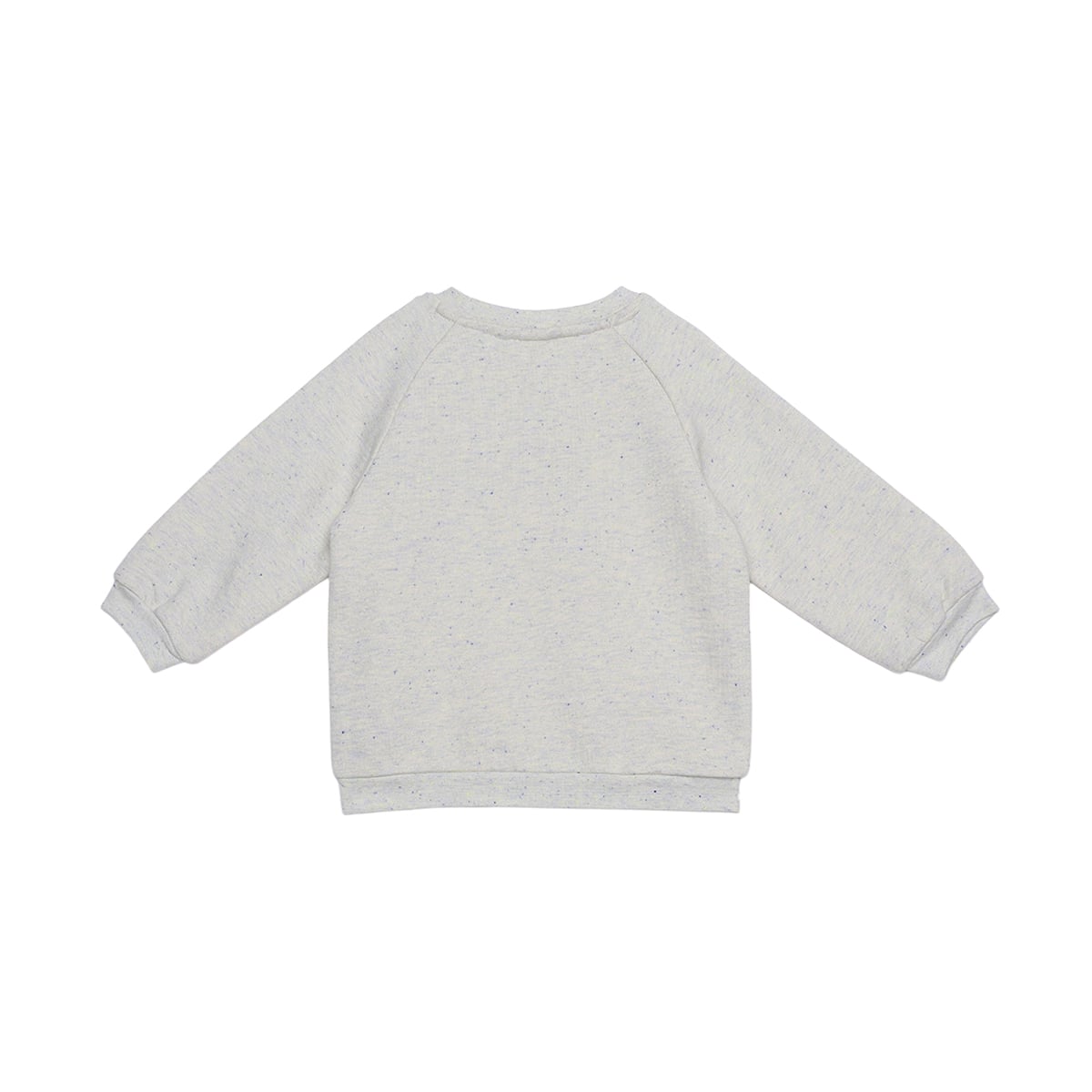 Baby Boys Light Grey Cotton Blend Dude Embroidered Full Sleeve Sweatshirt Regular Fit Casual Wear